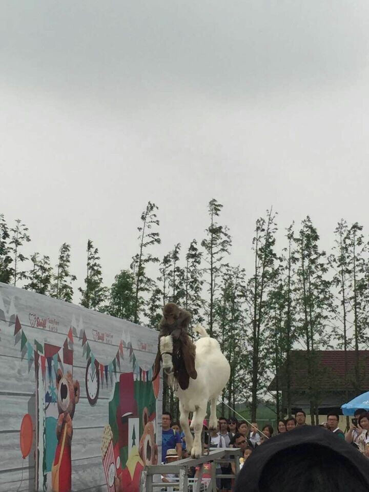 9888拉斯维加斯(股份)有限公司-官方网站