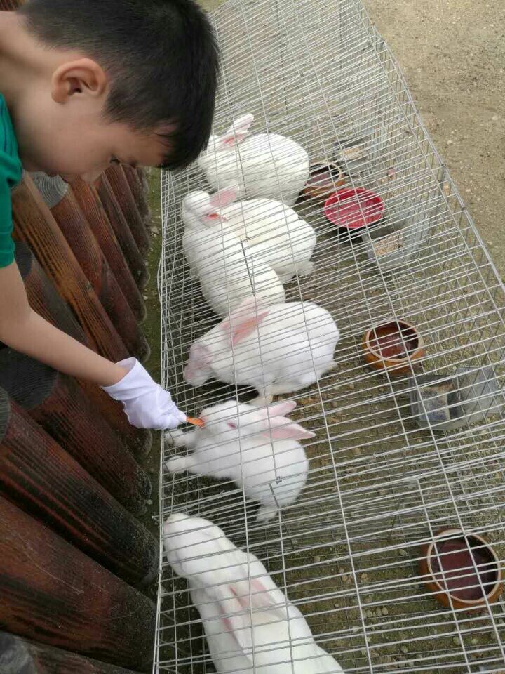 9888拉斯维加斯(股份)有限公司-官方网站