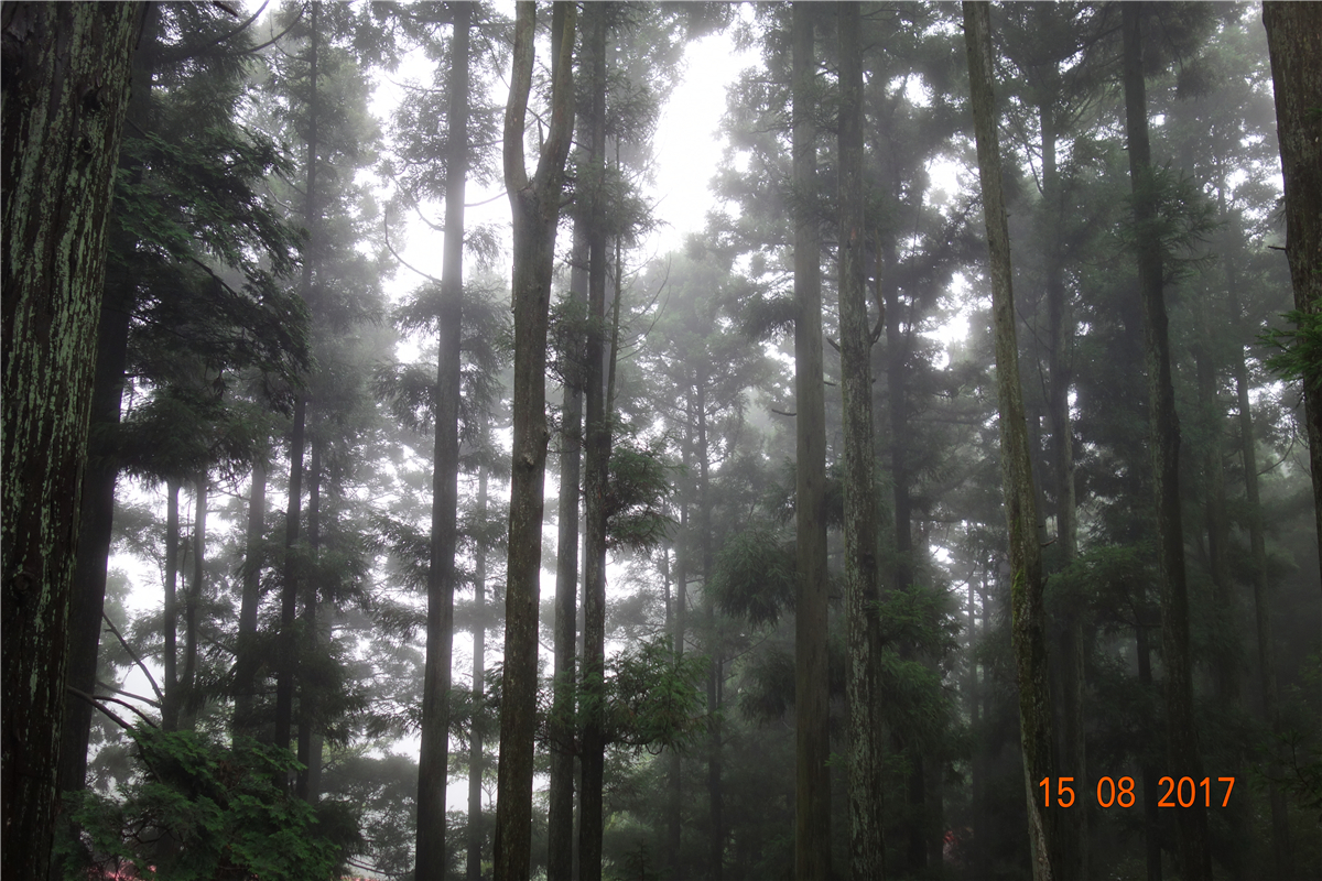 9888拉斯维加斯(股份)有限公司-官方网站