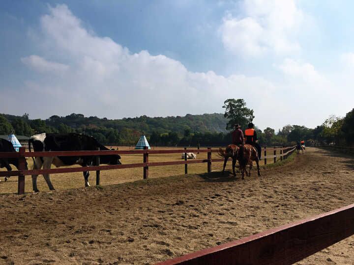 9888拉斯维加斯(股份)有限公司-官方网站