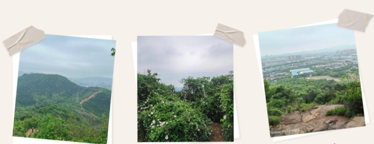 9888拉斯维加斯(股份)有限公司-官方网站