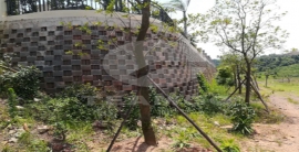 PG电子·(中国)游戏官方网站