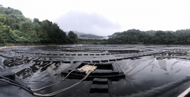 PG电子·(中国)游戏官方网站